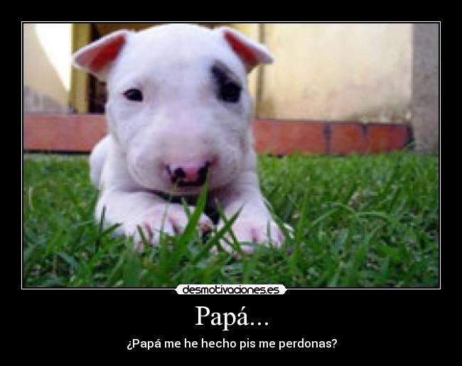 carteles desmotivaciones