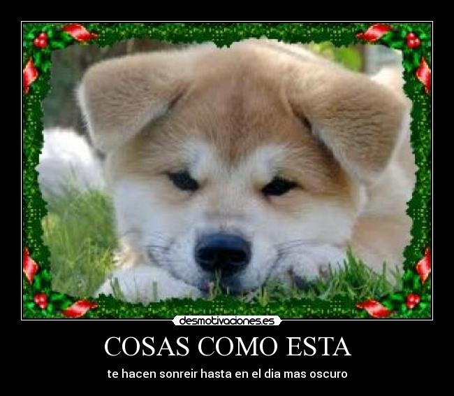 COSAS COMO ESTA - te hacen sonreir hasta en el dia mas oscuro