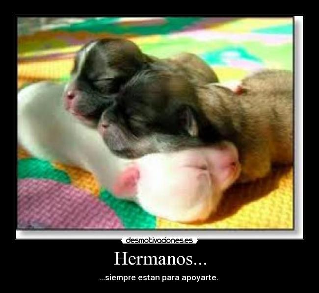 Hermanos... - ...siempre estan para apoyarte.