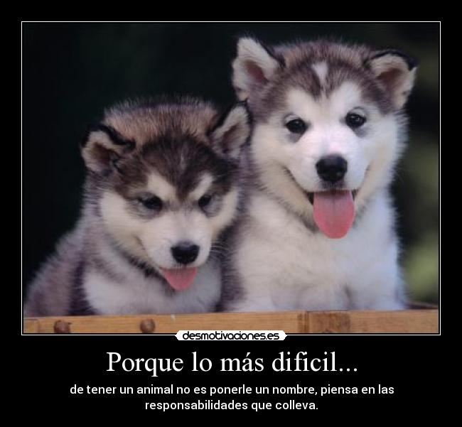 Porque lo más dificil... -