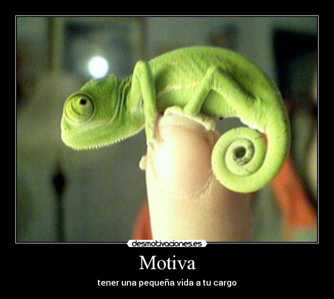 Motiva -