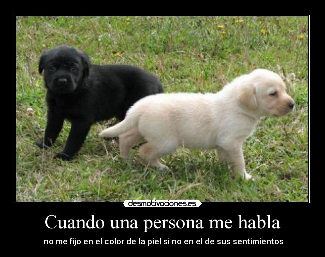 Cuando una persona me habla -