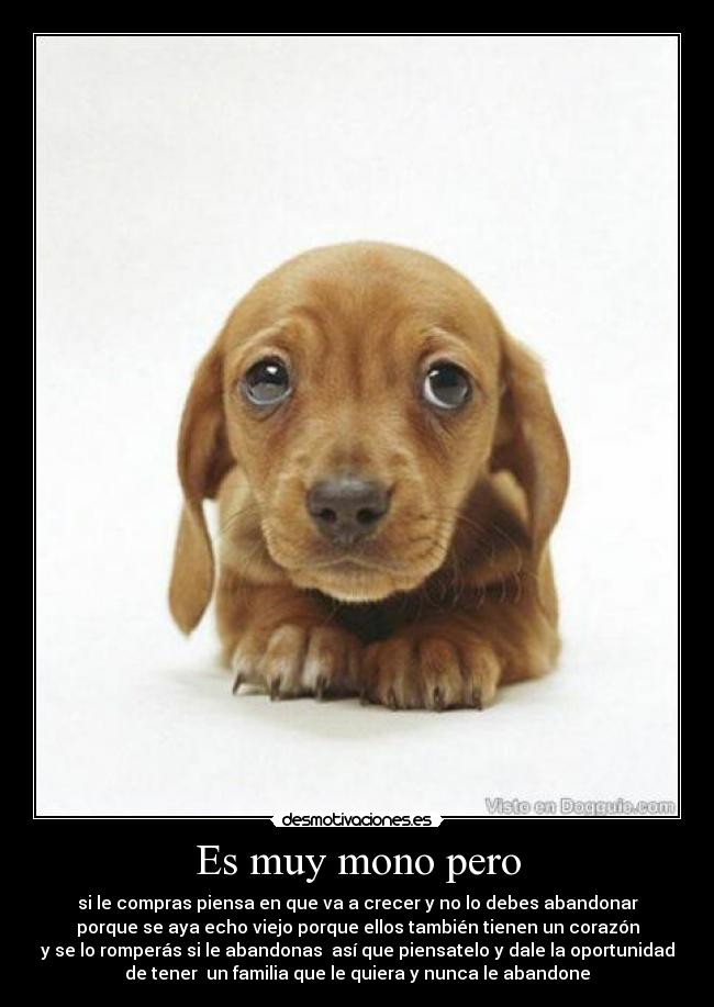 Es muy mono pero -