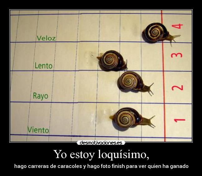 Yo estoy loquísimo, -