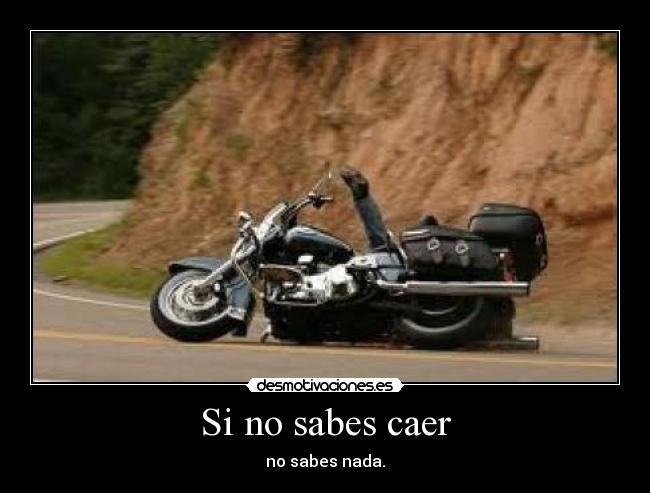 Si no sabes caer - no sabes nada.