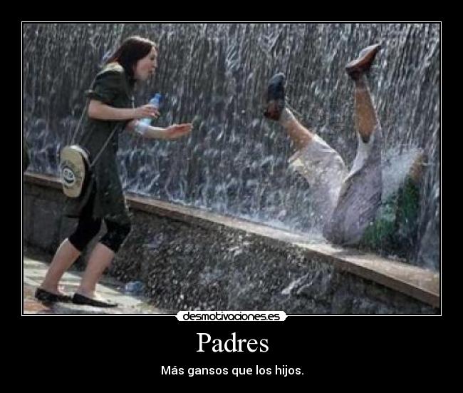 Padres - Más gansos que los hijos.
