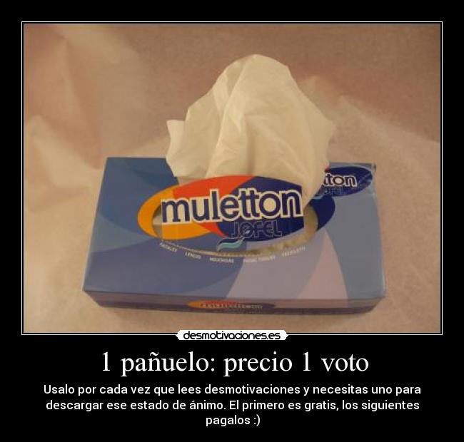 1 pañuelo: precio 1 voto - 