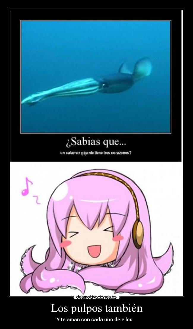 carteles luka megurine tako calamar desmotivaciones