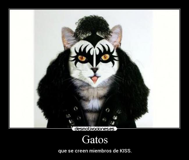 Gatos - que se creen miembros de KISS.