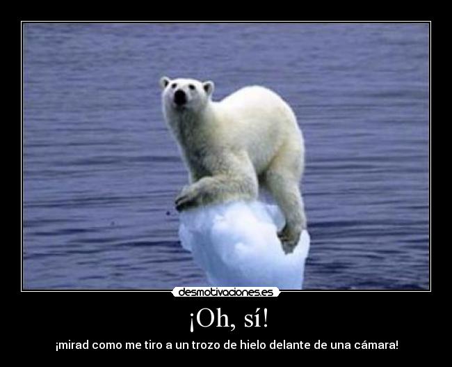 ¡Oh, sí! - ¡mirad como me tiro a un trozo de hielo delante de una cámara!