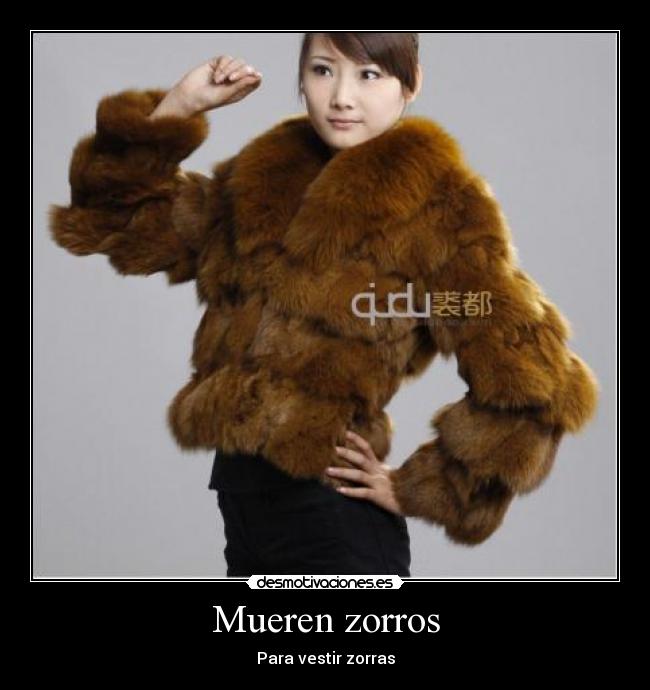 Mueren zorros - 