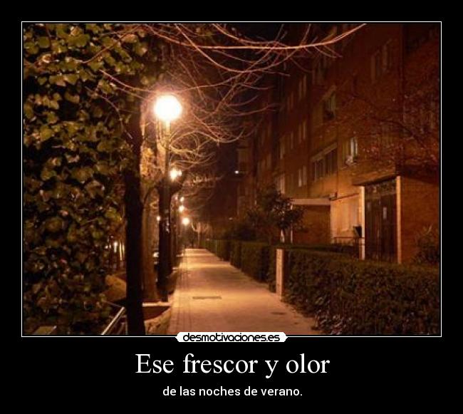 carteles verano noche frescor desmotivaciones