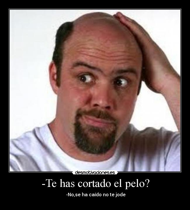 -Te has cortado el pelo? - -No,se ha caído no te jode