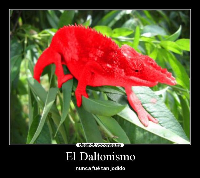 El Daltonismo - 