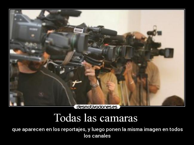 Todas las camaras -