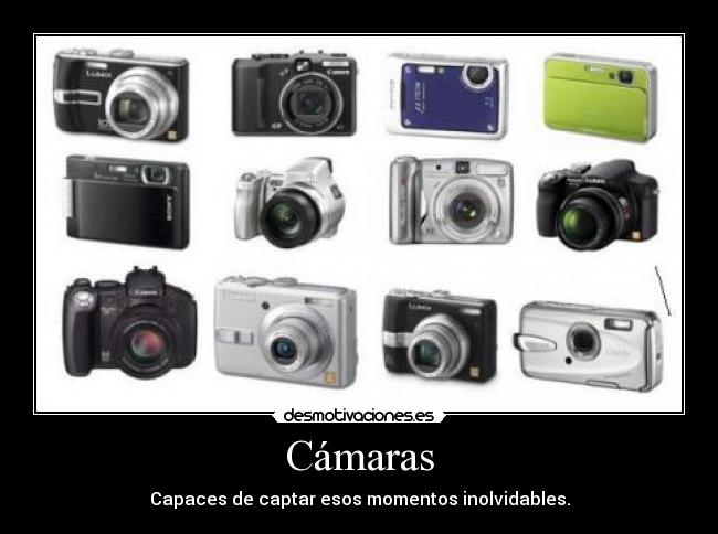 Cámaras - Capaces de captar esos momentos inolvidables.
