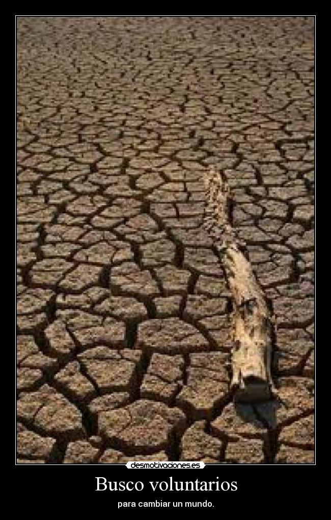 Busco voluntarios -