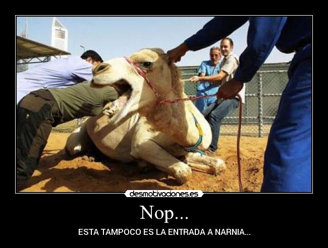 carteles  desmotivaciones