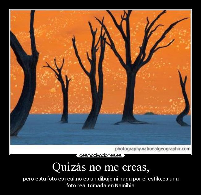 Quizás no me creas, -