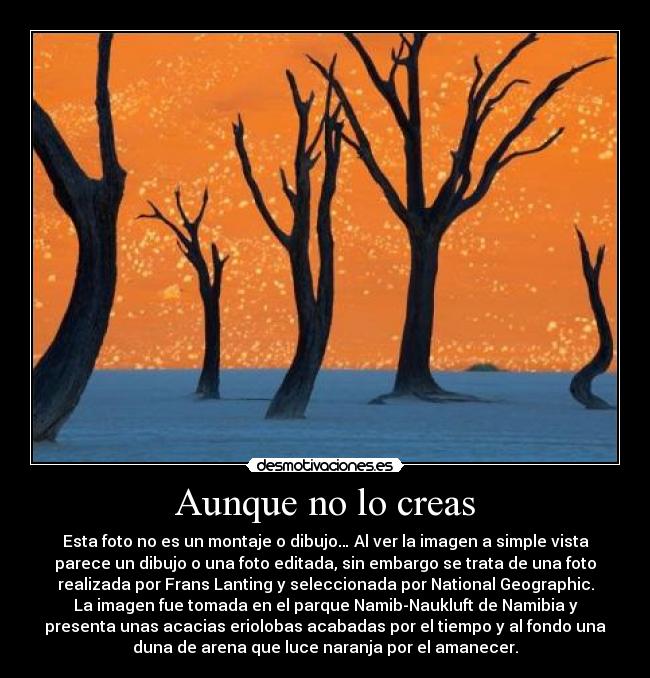 Aunque no lo creas -