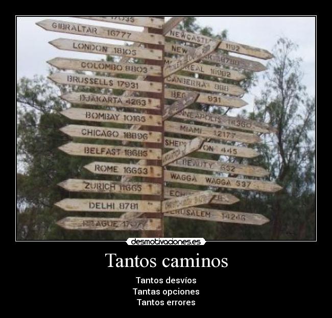 Tantos caminos -