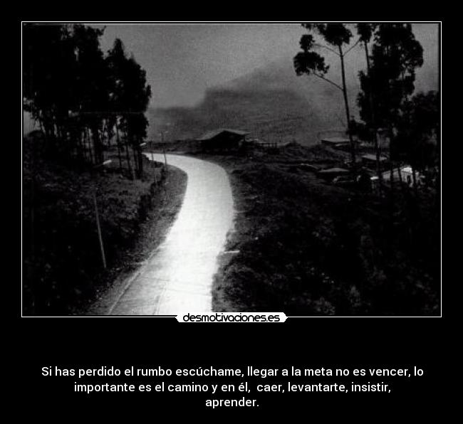     - Si has perdido el rumbo escúchame, llegar a la meta no es vencer, lo
importante es el camino y en él, ﻿ caer, levantarte, insistir,
aprender.