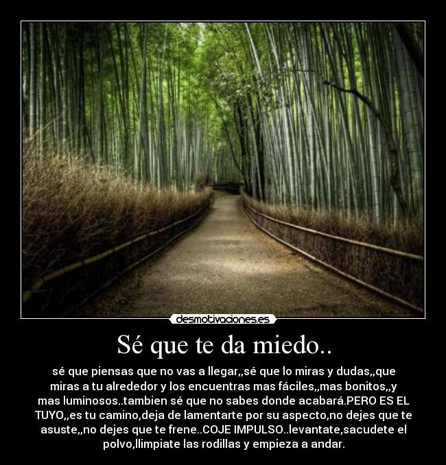 Sé que te da miedo.. - sé que piensas que no vas a llegar,,sé que lo miras y dudas,,que
miras a tu alrededor y los encuentras mas fáciles,,mas bonitos,,y
mas luminosos..tambien sé que no sabes donde acabará.PERO ES EL
TUYO,,es tu camino,deja de lamentarte por su aspecto,no dejes que te
asuste,,no dejes que te frene..COJE IMPULSO..levantate,sacudete el
polvo,llimpiate las rodillas y empieza a andar.