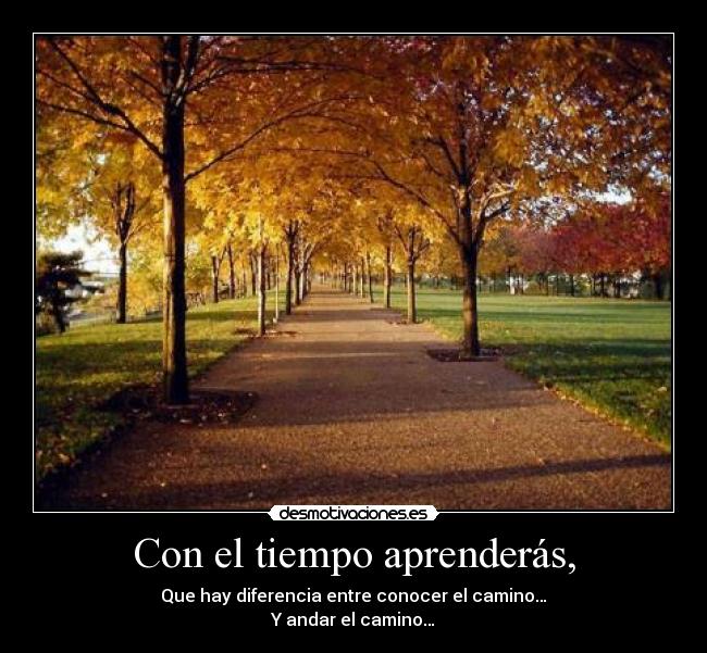 Con el tiempo aprenderás, - 