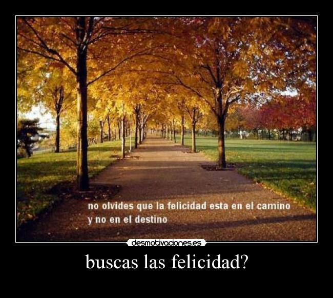 buscas las felicidad? - 