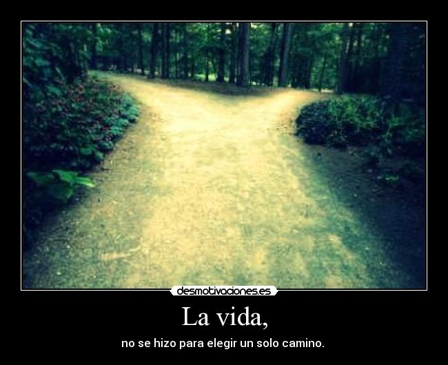 carteles vida voda desmotivaciones