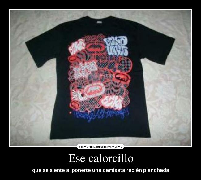 carteles camiseta recien planchada desmotivaciones
