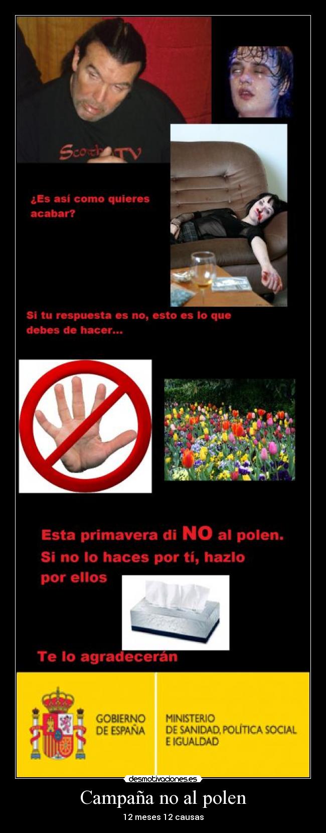 Campaña no al polen - 12 meses 12 causas