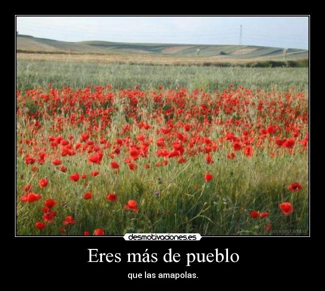 Eres más de pueblo - que las amapolas.