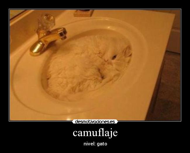 camuflaje -