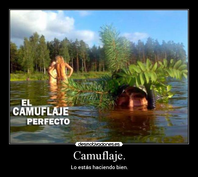 Camuflaje. - Lo estás haciendo bien.
