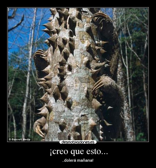 ¡creo que esto... - ..dolerá mañana! 