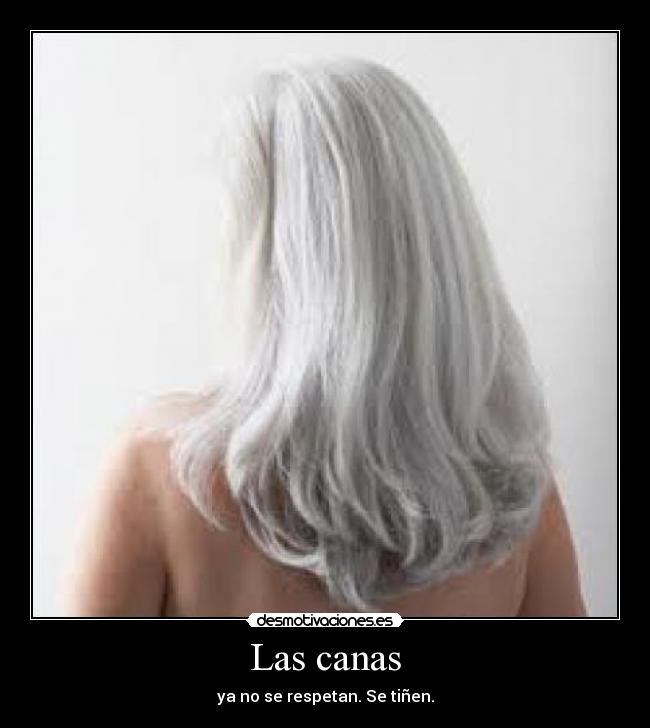 Las canas - ya no se respetan. Se tiñen.