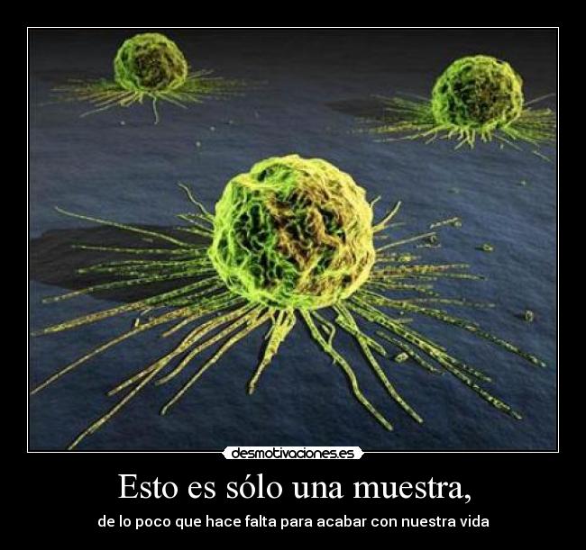 Esto es sólo una muestra, - de lo poco que hace falta para acabar con nuestra vida