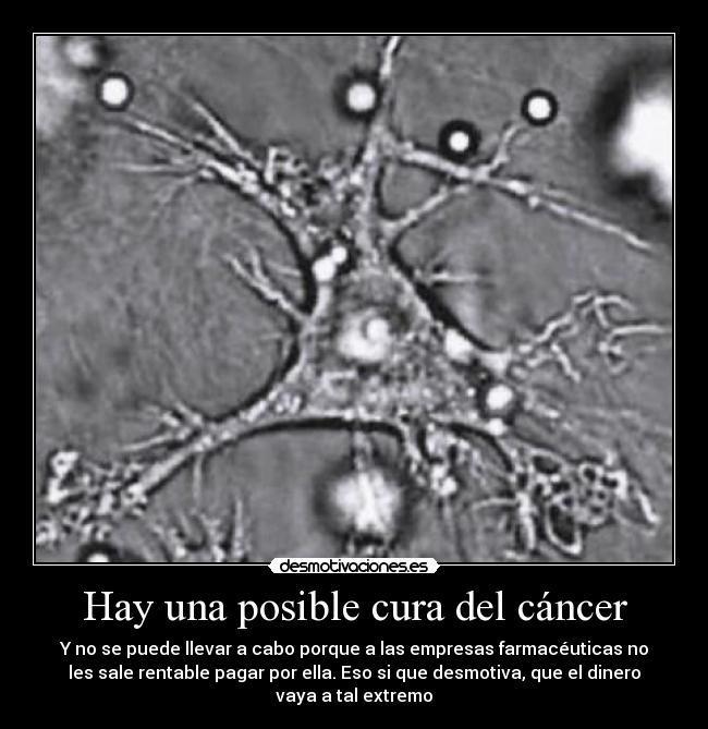 Hay una posible cura del cáncer - 