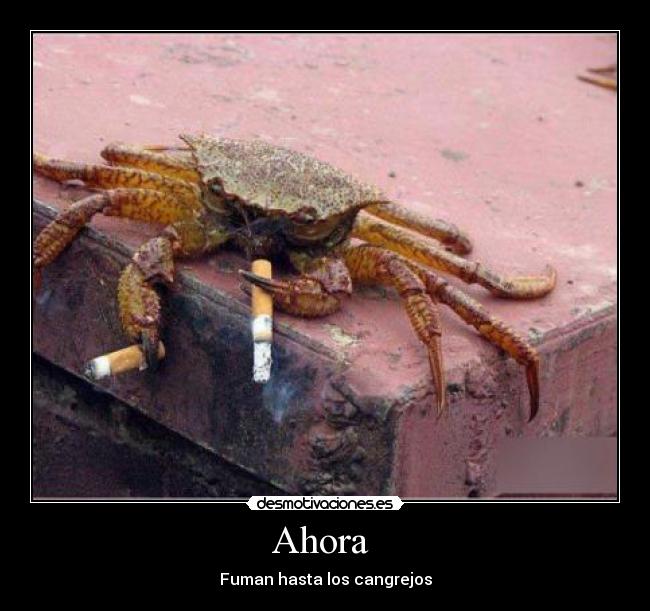 carteles colegis desmotivaciones