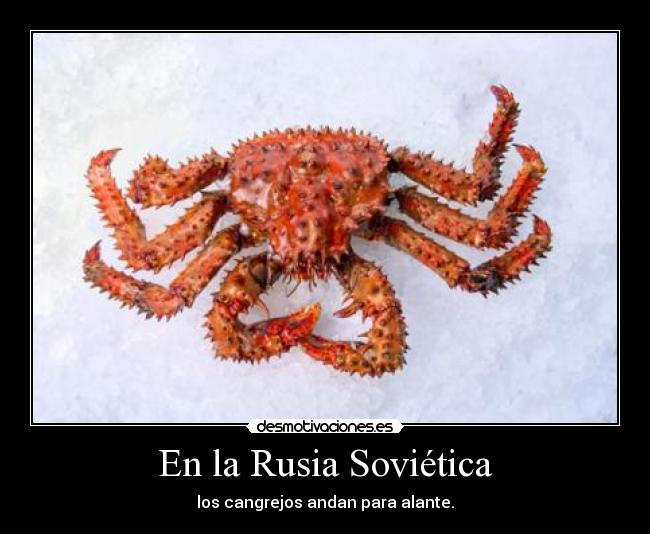 En la Rusia Soviética - los cangrejos andan para alante.