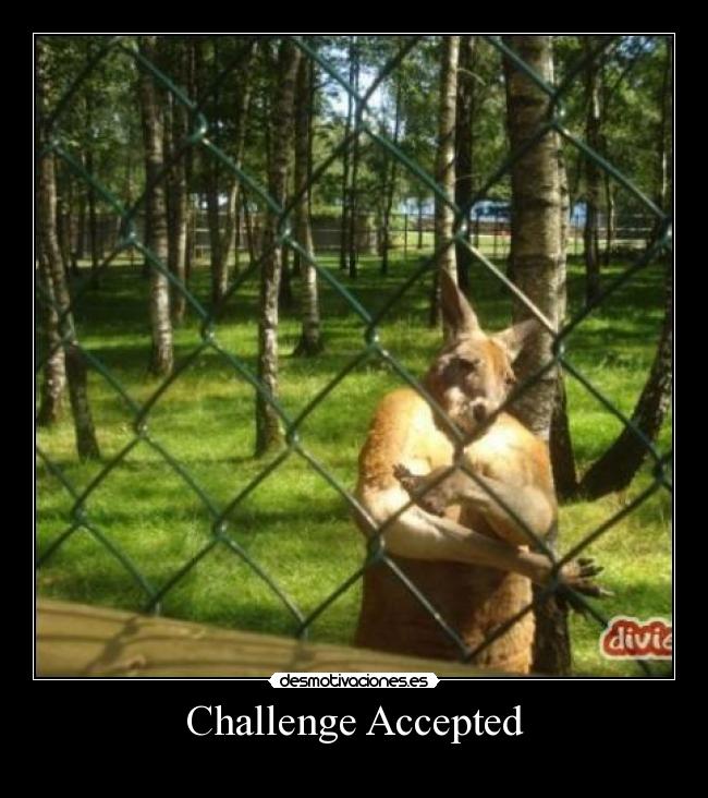 Challenge Accepted - 