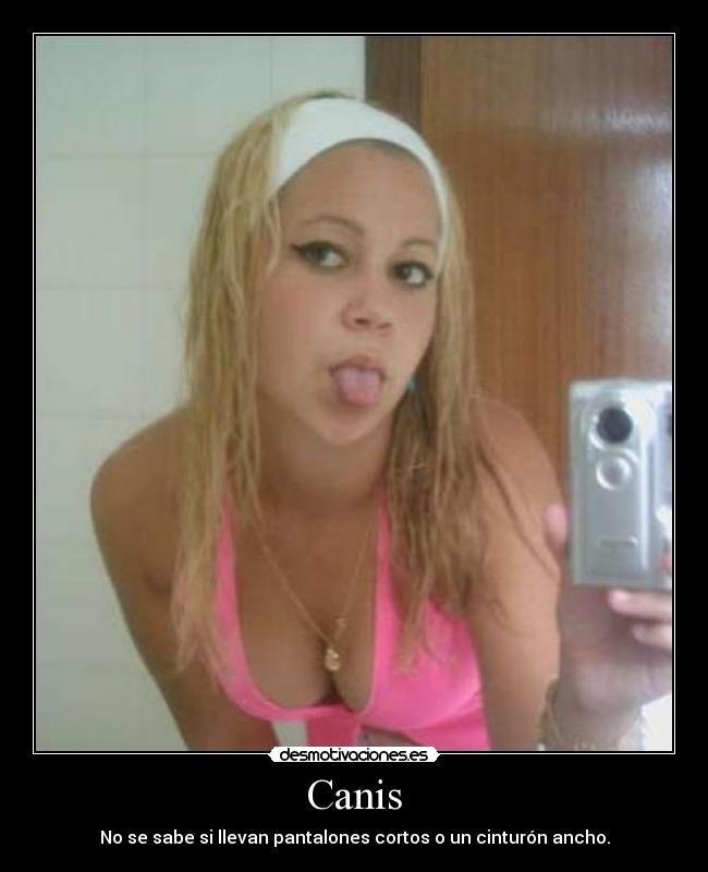 carteles pantalones cinturon cani choni desmotivaciones