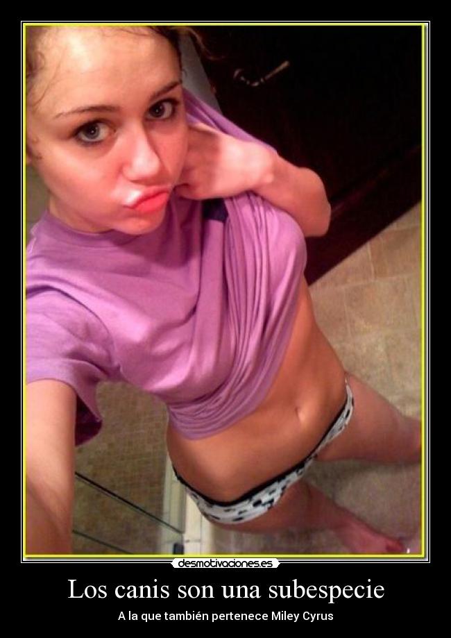 carteles mariangel desmotivaciones