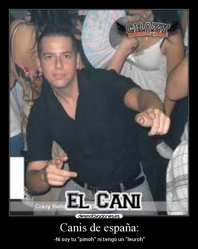 Canis de españa: -