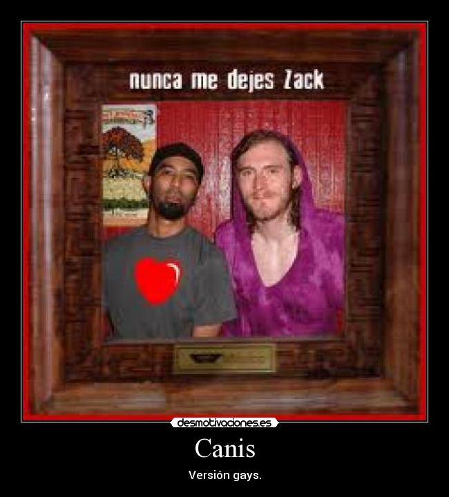 carteles dariah desmotivaciones