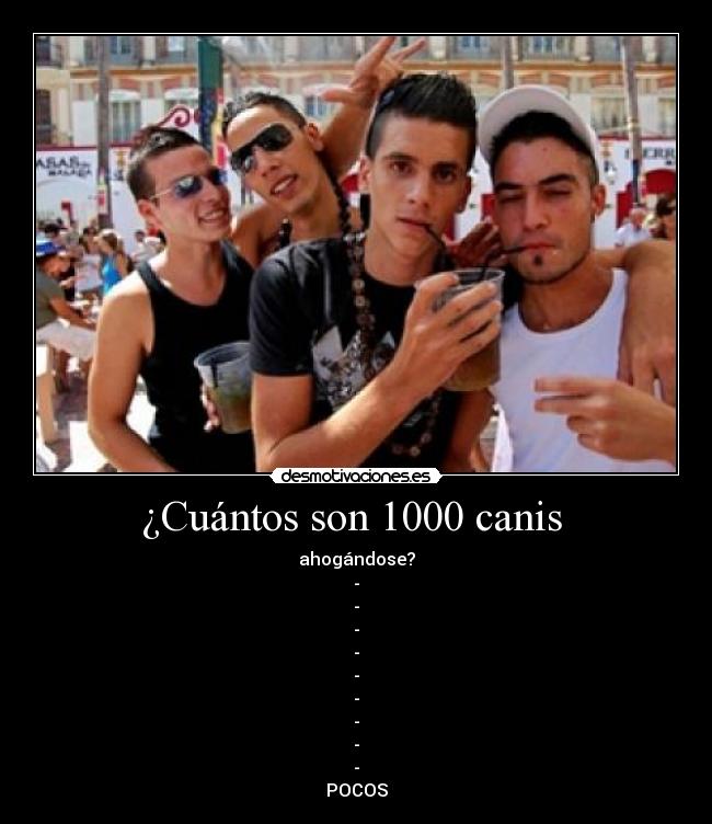 ¿Cuántos son 1000 canis -