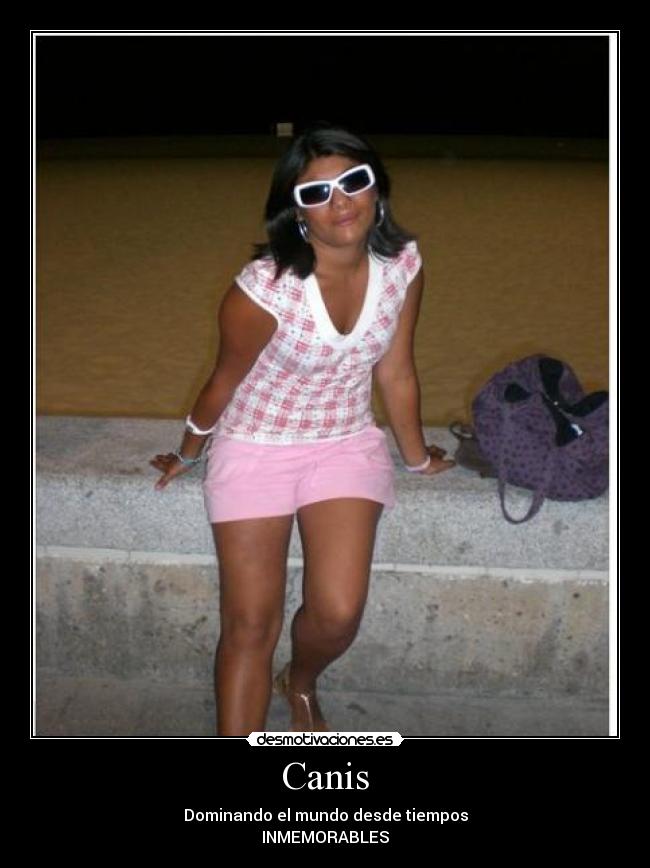 carteles canis desmotivaciones