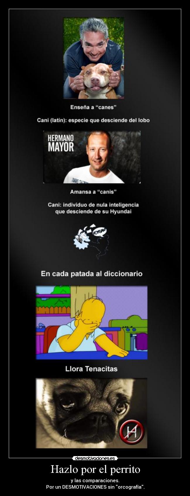 Hazlo por el perrito -