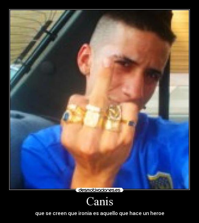 Canis - que se creen que ironia es aquello que hace un heroe
